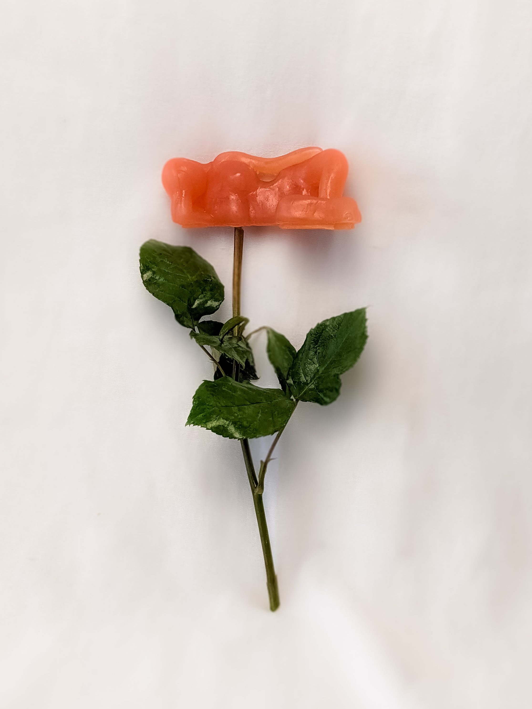 Naked Lady Soap is coming up Roses!